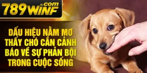 Dấu hiệu nằm mơ thấy chó cắn cảnh báo về sự phản bội trong cuộc sống