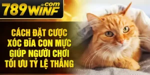Giấc mơ thấy mèo – Liệu đây là điềm lành hay cảnh báo