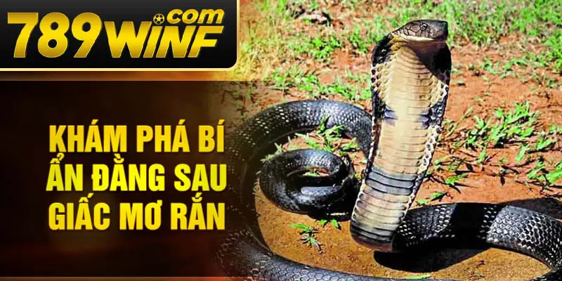 Khám phá bí ẩn đằng sau giấc mơ rắn