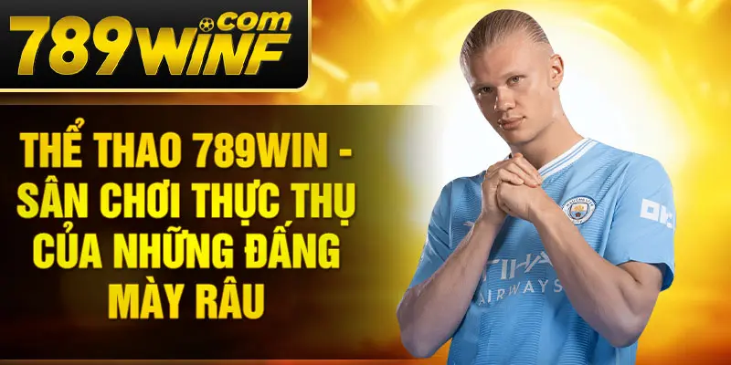 Thể thao 789Win - Sân chơi thực thụ của những đấng mày râu